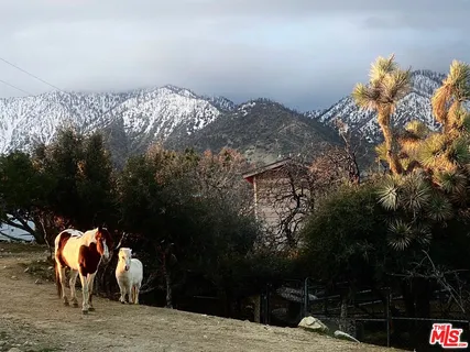 $499,000 | Undisclosed Address, Pearblossom, CA 93553