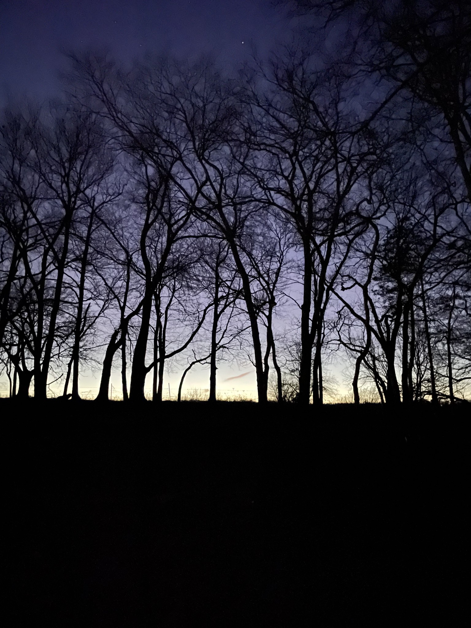 131 Butterfly Lane Bell Buckle, TN 37020 - Photo 33 of 46 a view of green field
