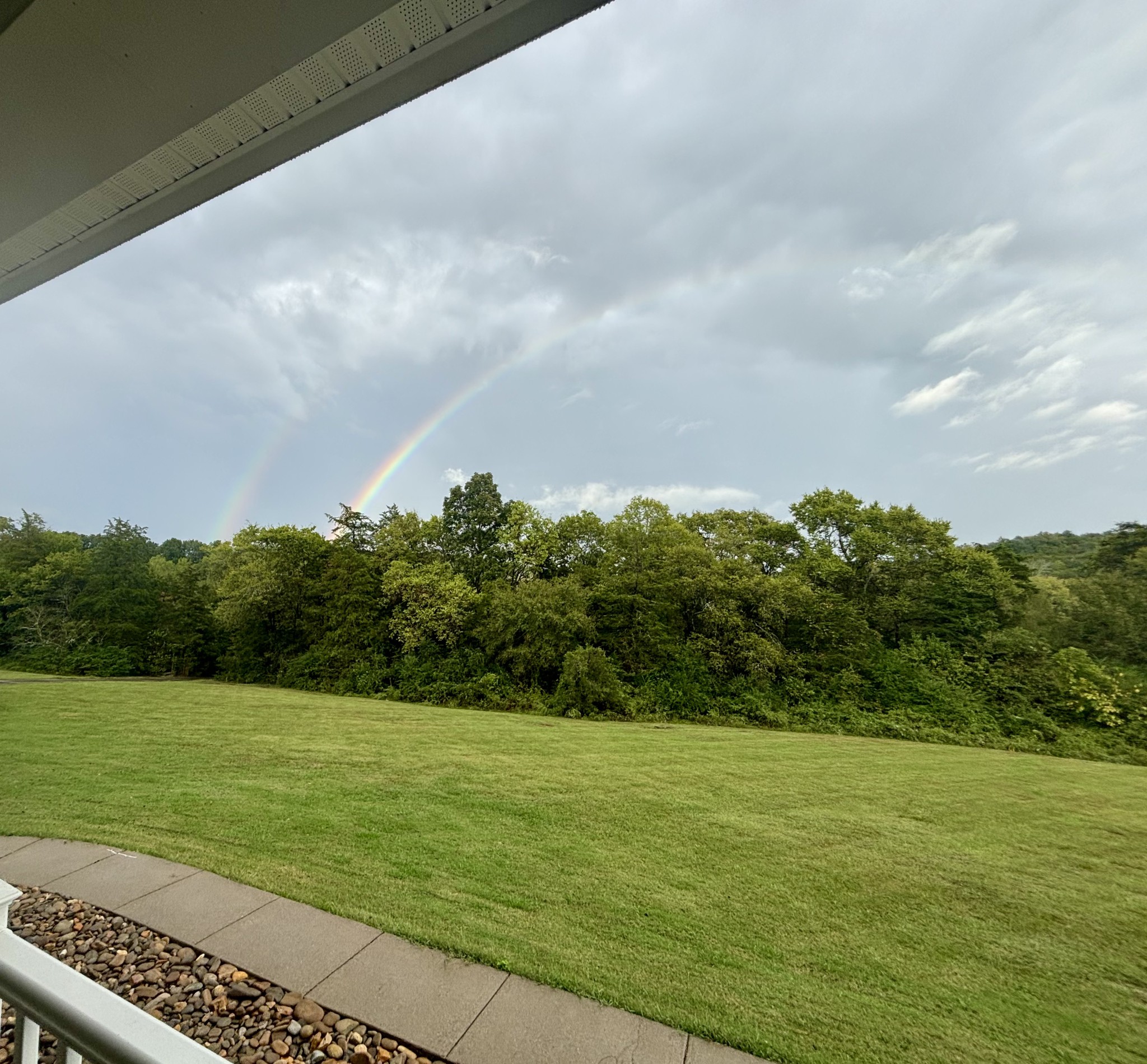 131 Butterfly Lane Bell Buckle, TN 37020 - Photo 34 of 46 a view of a field with an empty room