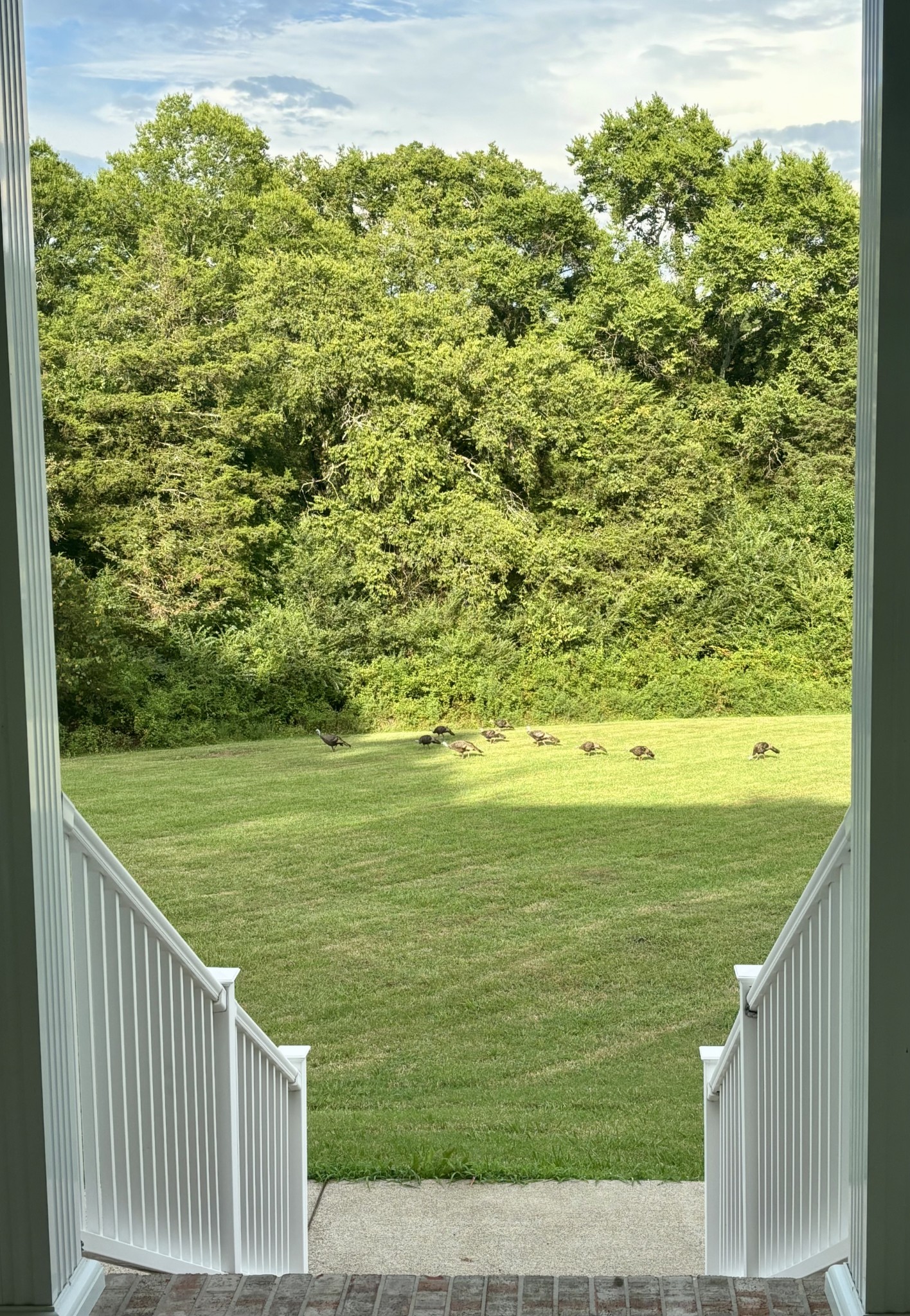 131 Butterfly Lane Bell Buckle, TN 37020 - Photo 36 of 46 a view of a green field next to a building