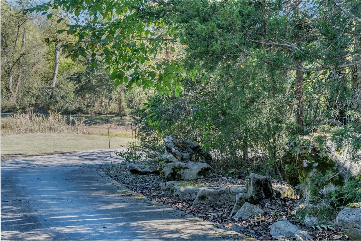 131 Butterfly Lane Bell Buckle, TN 37020 - Photo 41 of 46 a view of a yard from a yard