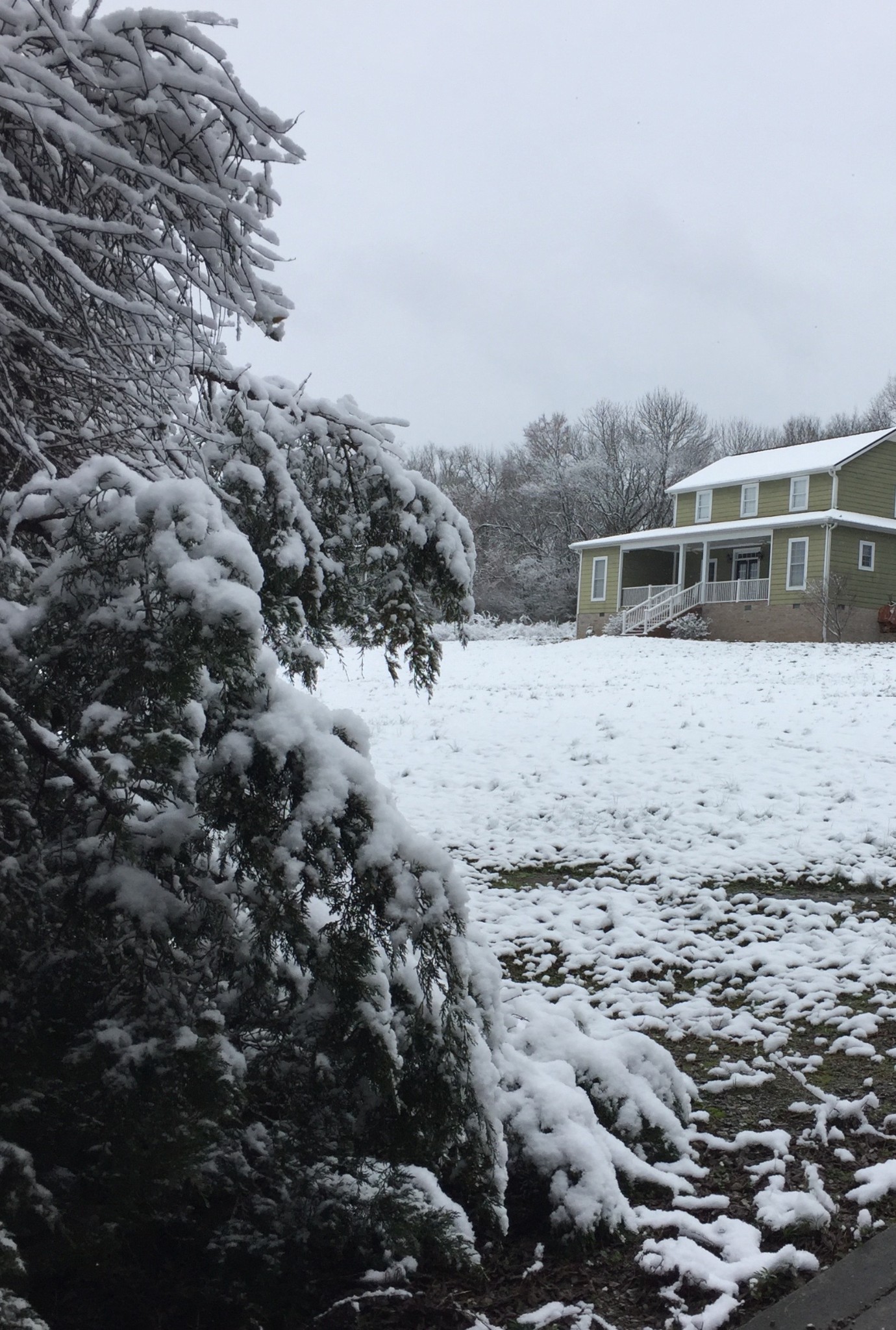 131 Butterfly Lane Bell Buckle, TN 37020 - Photo 7 of 46 a view of a covered with snow in the background