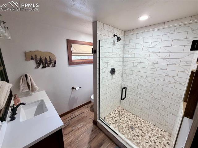 121 St Charles Drive Rye, CO 81069 - Photo 9 of 21 Bathroom featuring vanity, a stall shower, and dark wood finished floors