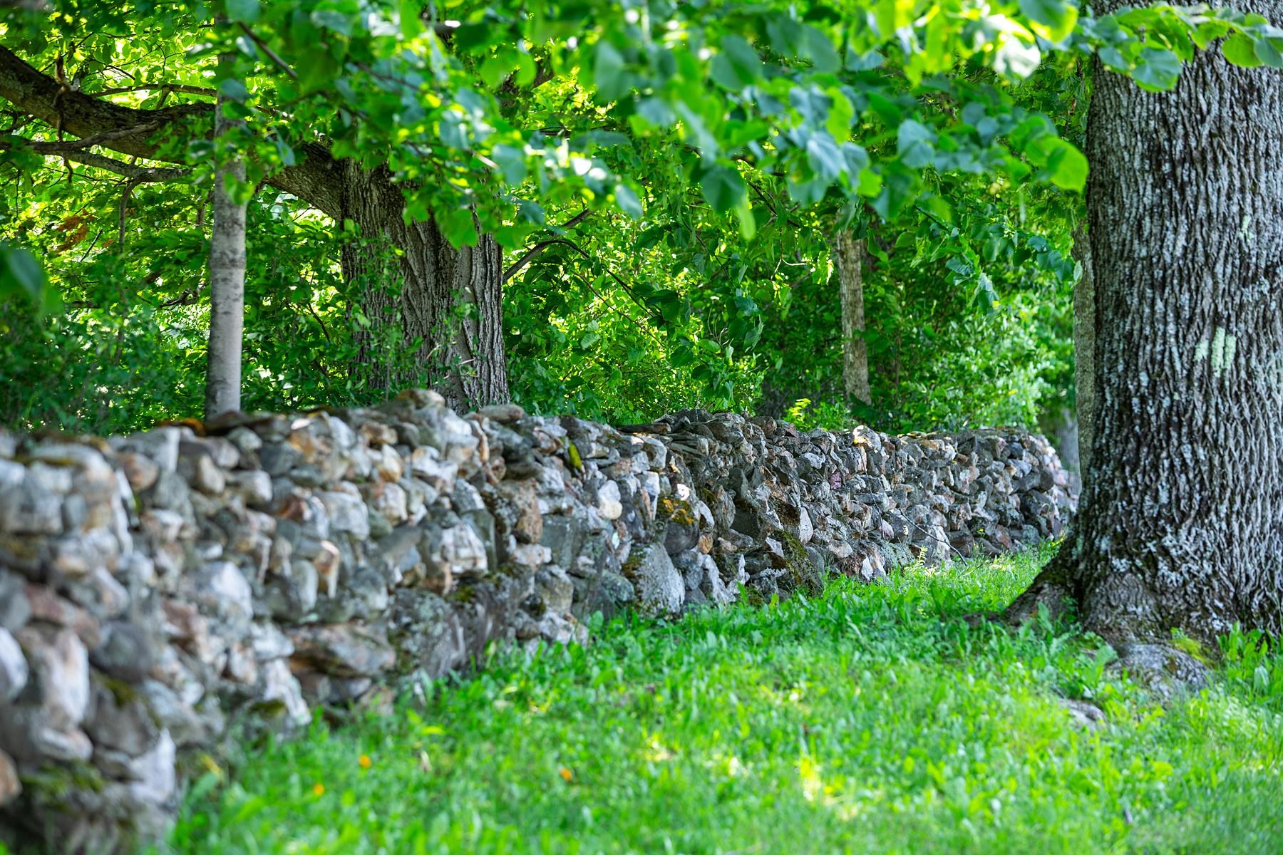 915 Peterkin Hill Road Woodstock, VT 05091 - Photo 7 of 58