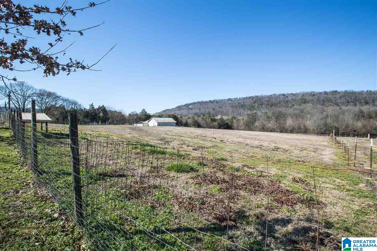 435 County Road 42 Oneonta, AL 35121 - Photo 7 of 40