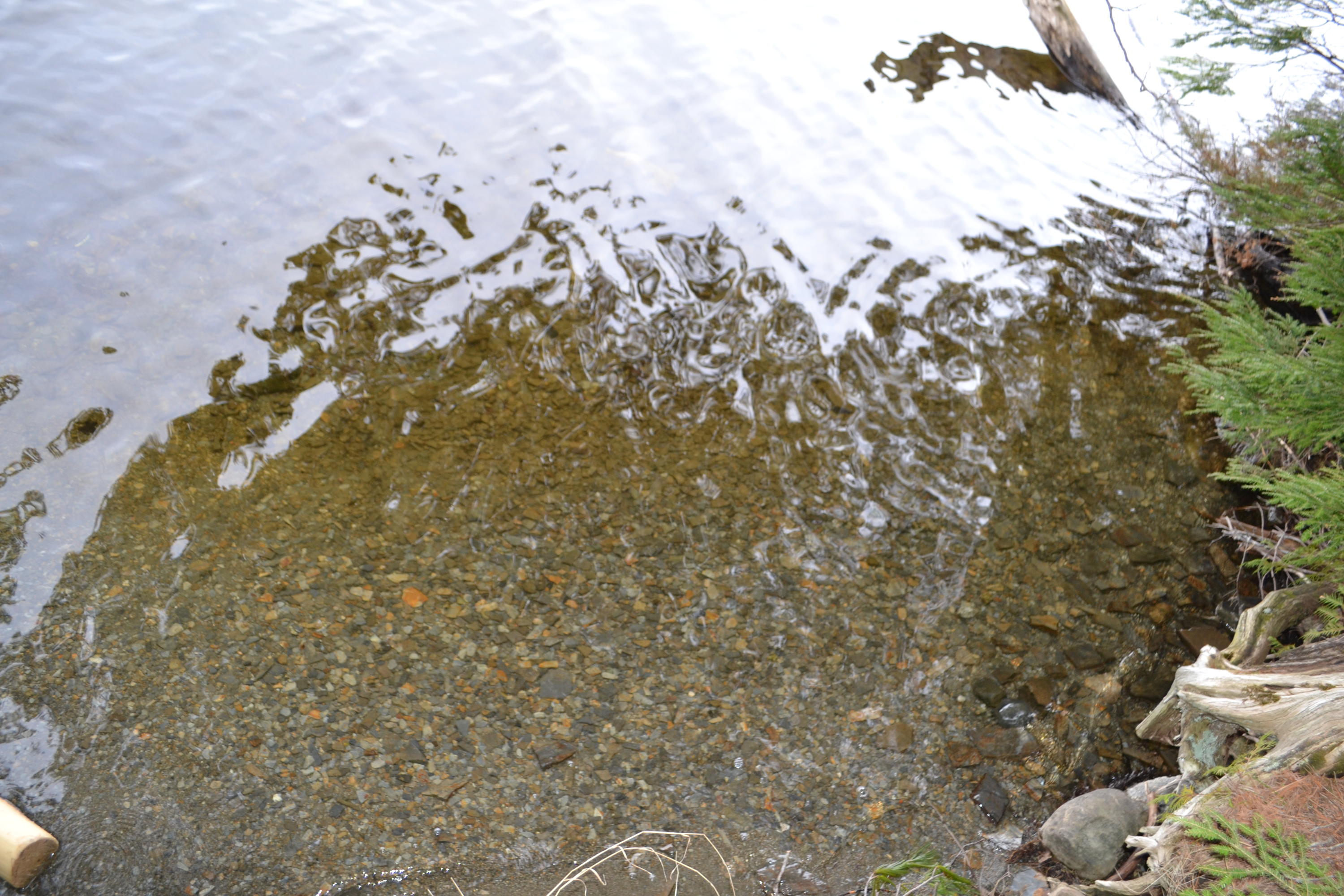 1 Morrill Pond Road Hartland, ME 04943 - Photo 4 of 15 beach