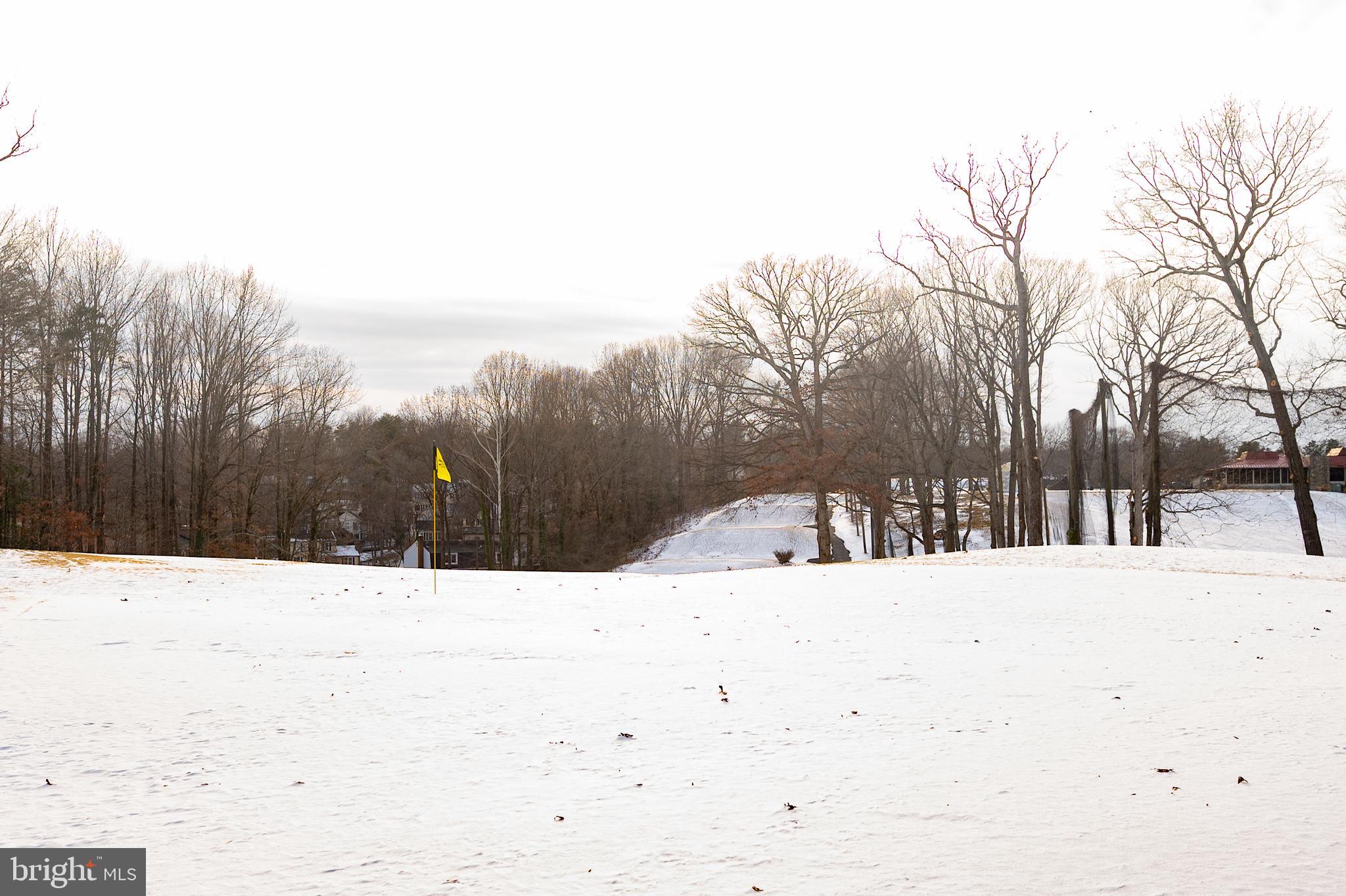 16010 Edgewood Drive Dumfries, VA 22025 - Photo 69 of 85 View from your new home