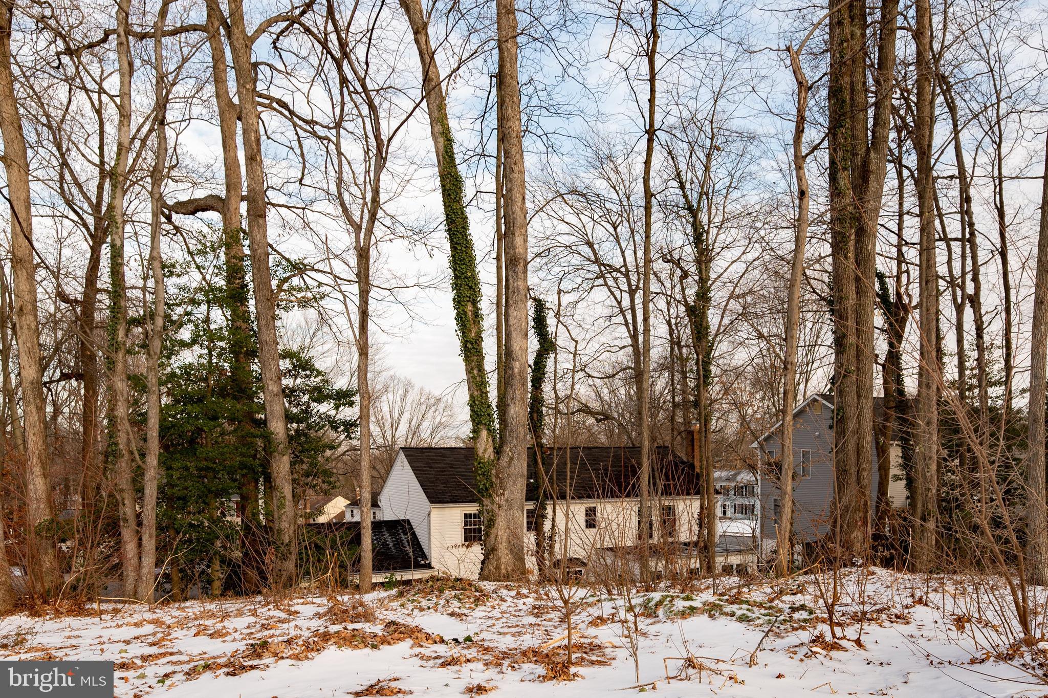 16010 Edgewood Drive Dumfries, VA 22025 - Photo 71 of 85 Views from the 1st green