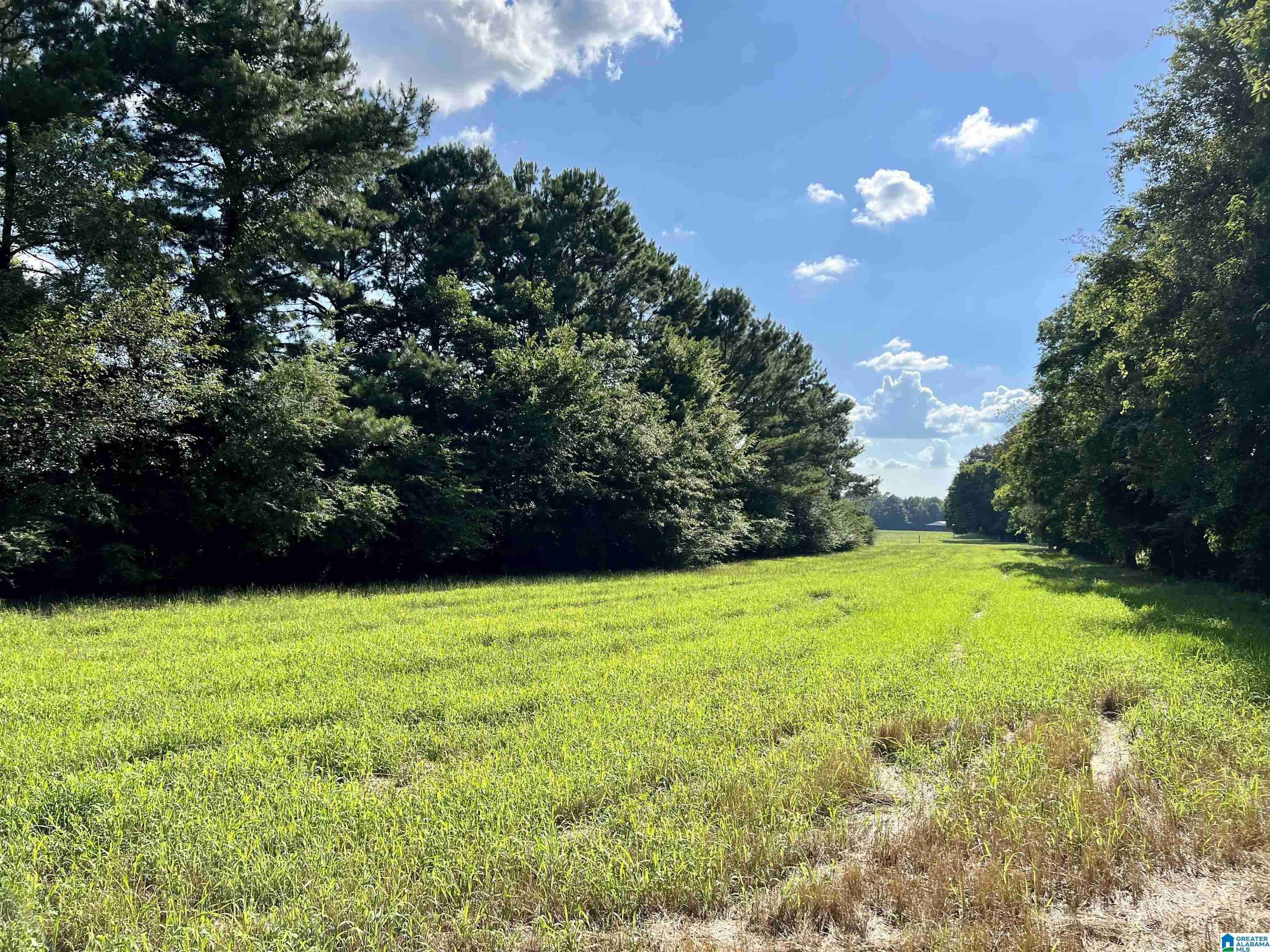 1515 Kelly Ranch Road, Unit 138 ACRES / Talladega, AL 35160 - Photo 16 of 42