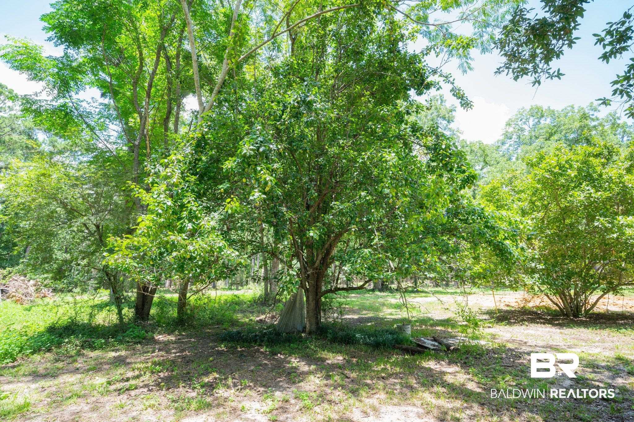 0 Hurricane Road Bay Minette, AL 36507 - Photo 7 of 30