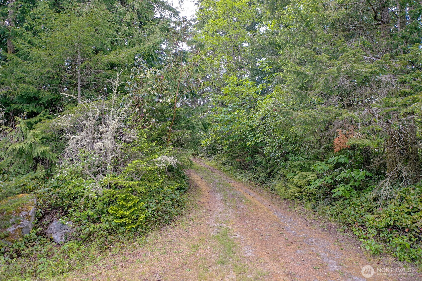 71 Hawks Prairie Road Sequim, WA 98382 - Photo 13 of 26 Gallery Image 13