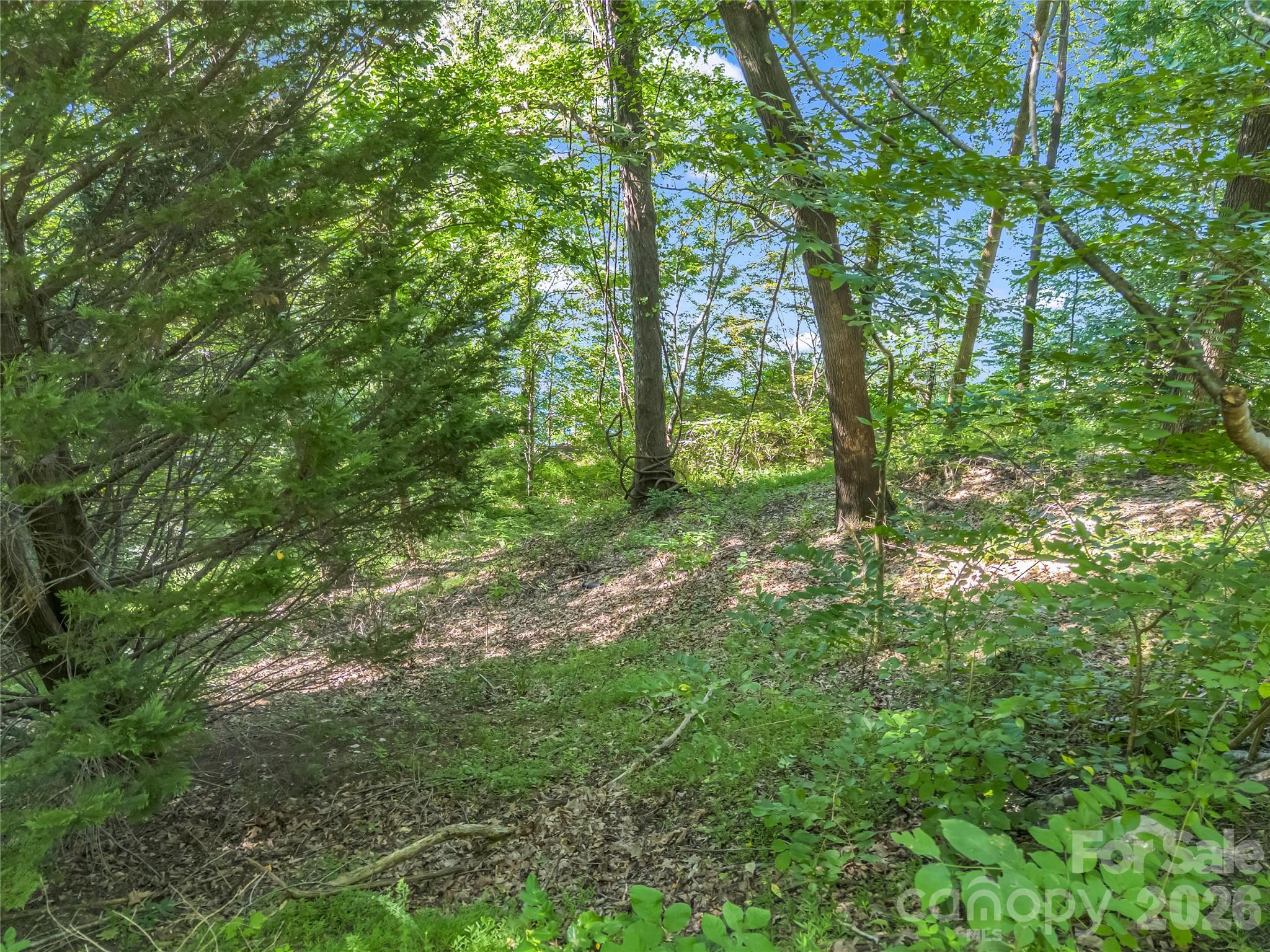 0 Chapel Point Road, Unit 14 Lake Lure, NC 28746 - Photo 24 of 36 Gallery Image 24