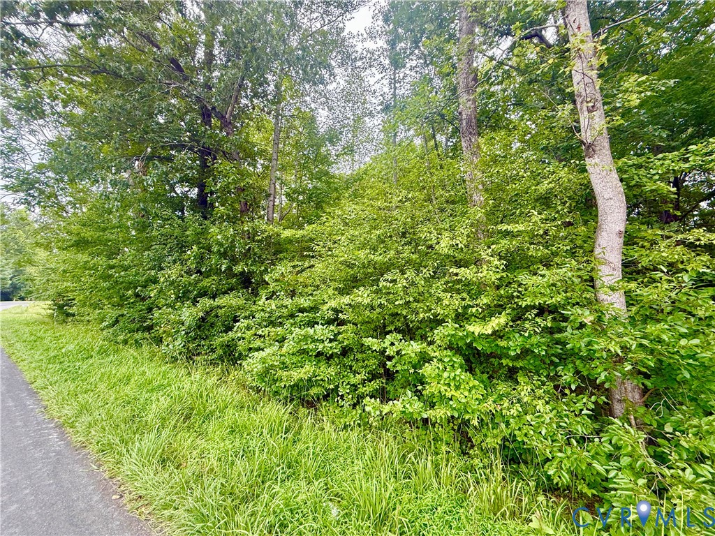 Lot 1 Forest Chapel Road Pamplin, VA 23958 - Photo 3 of 5