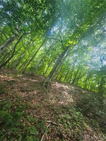 $479,000 | 602 Longview Drive, Brodnax, VA 23920