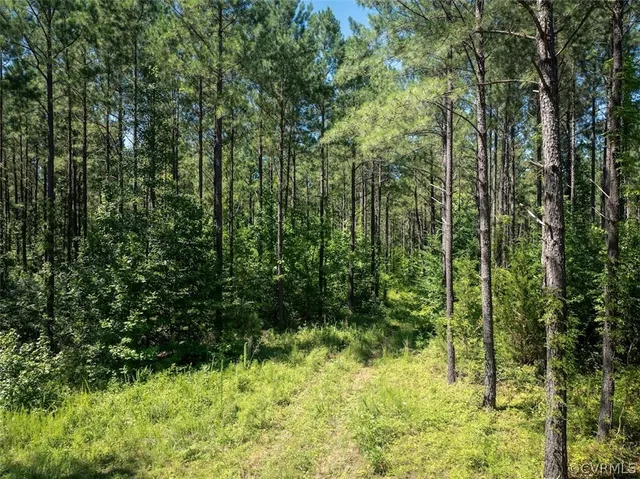 $479,000 | 602 Longview Drive, Brodnax, VA 23920