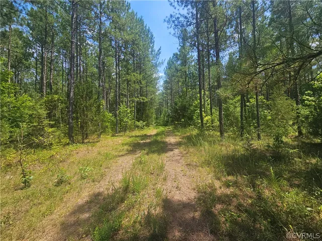 $479,000 | 602 Longview Drive, Brodnax, VA 23920