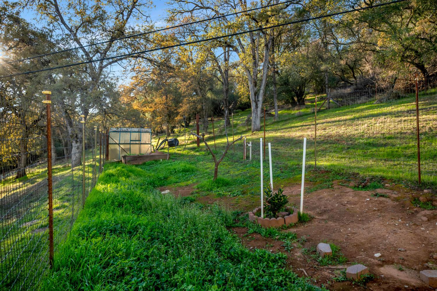4741 East China Hill Road El Dorado, CA 95623 - Photo 43 of 52