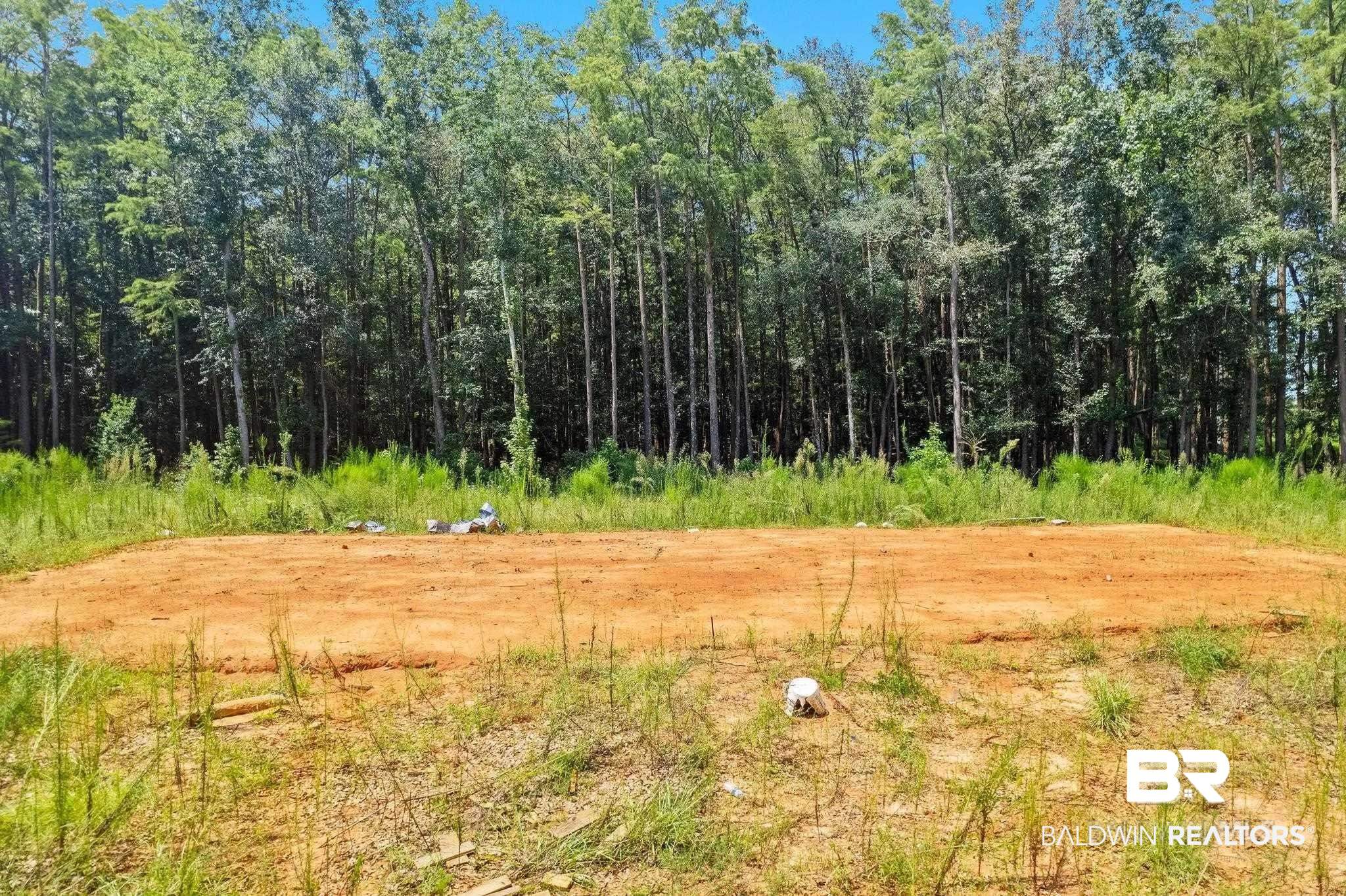 29151 Gardner Road Elberta, AL 36530 - Photo 3 of 3 View of local wilderness