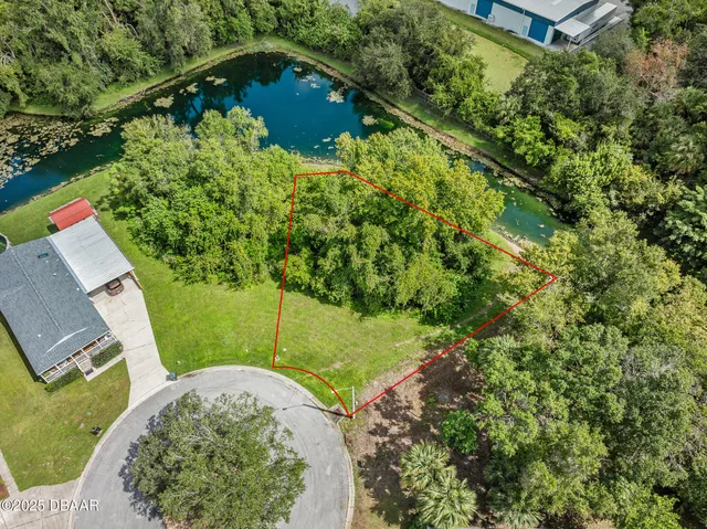 a view of a garden with a bench
