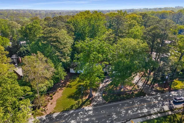 a view of a forest with a street