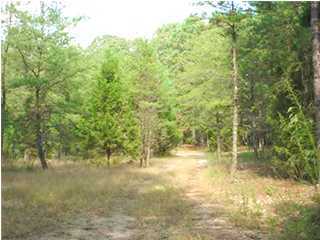 Primary Photo