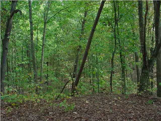 3820 Round Pond Road LaFayette, GA 30728 - Photo 4 of 4 Additional Photo