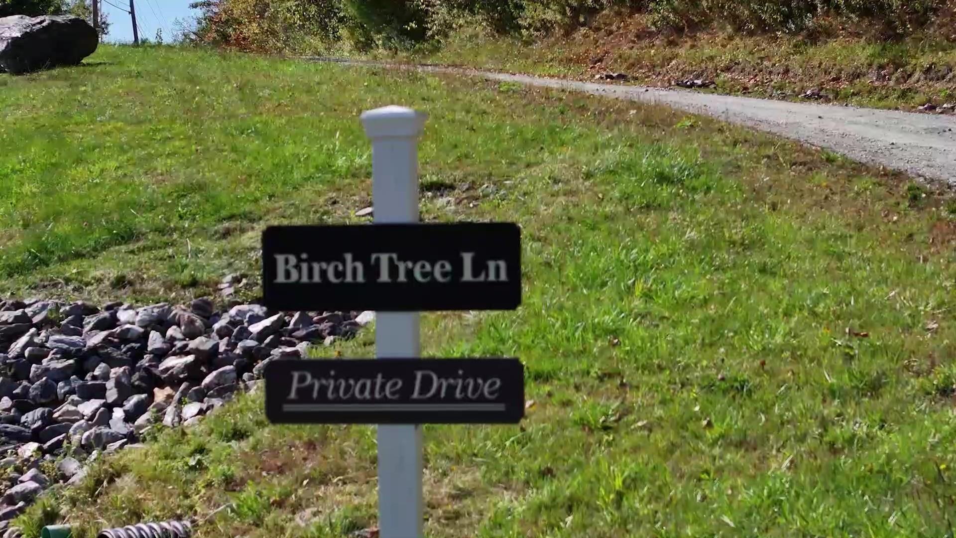 0 Birch Tree Lane, Unit LOT 3 Waterville, VT 05492 - Photo 5 of 11