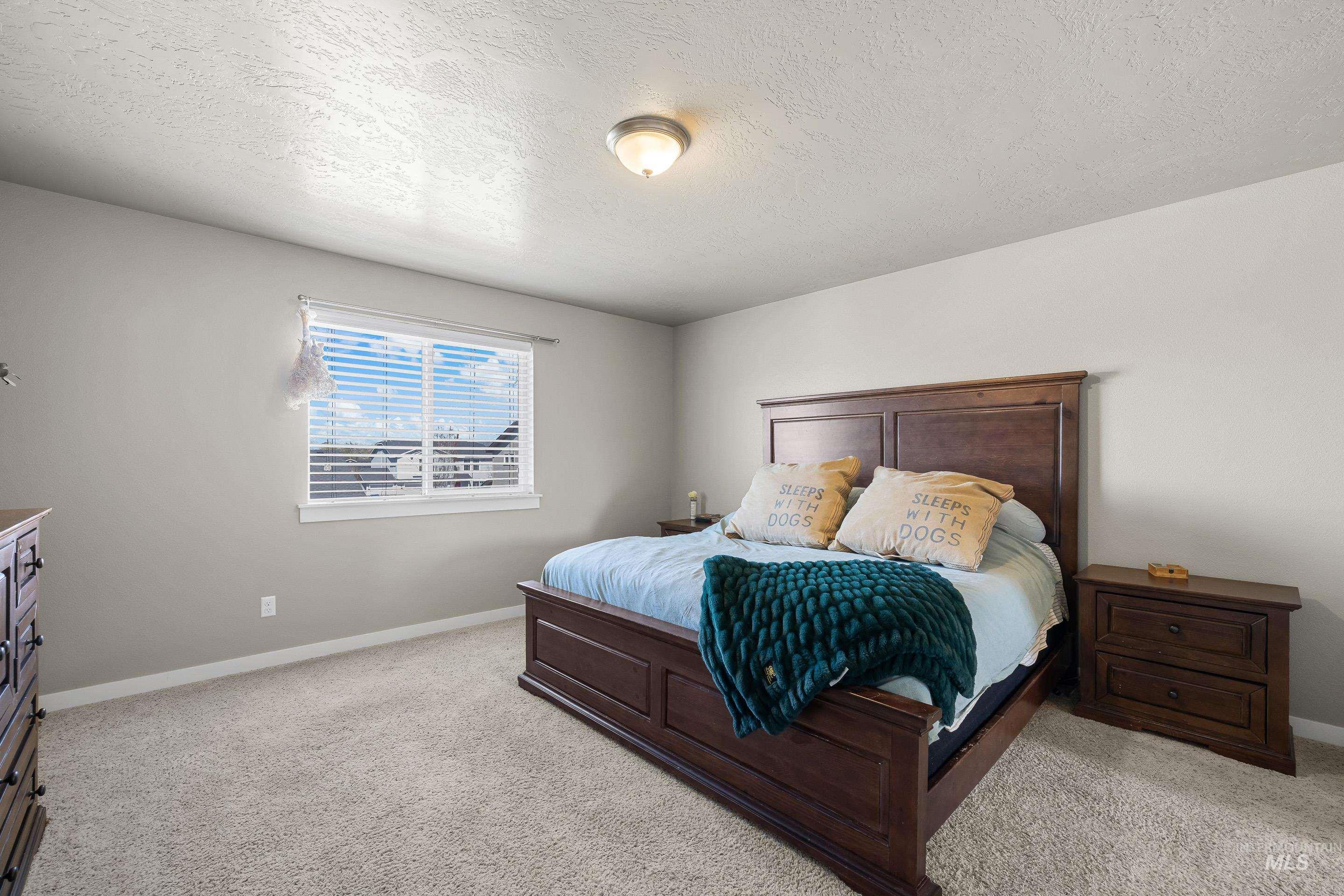 700 Southwest Panner Street Mountain Home, ID 83647 - Photo 28 of 50 Bedroom with a textured ceiling and light carpet