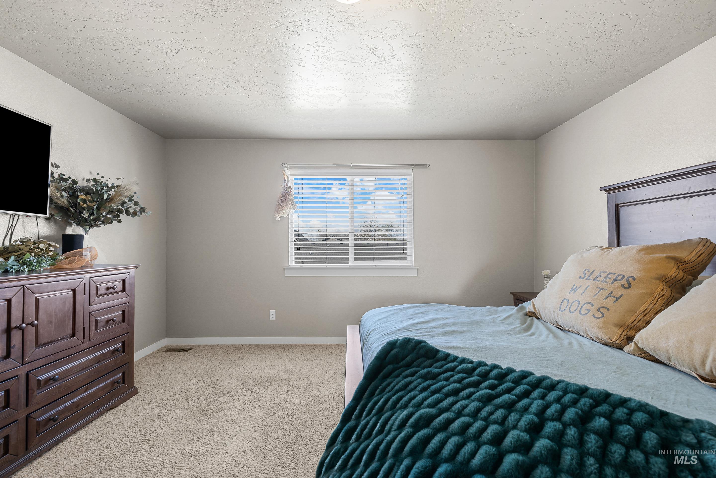 700 Southwest Panner Street Mountain Home, ID 83647 - Photo 29 of 50 Bedroom with light carpet and a textured ceiling