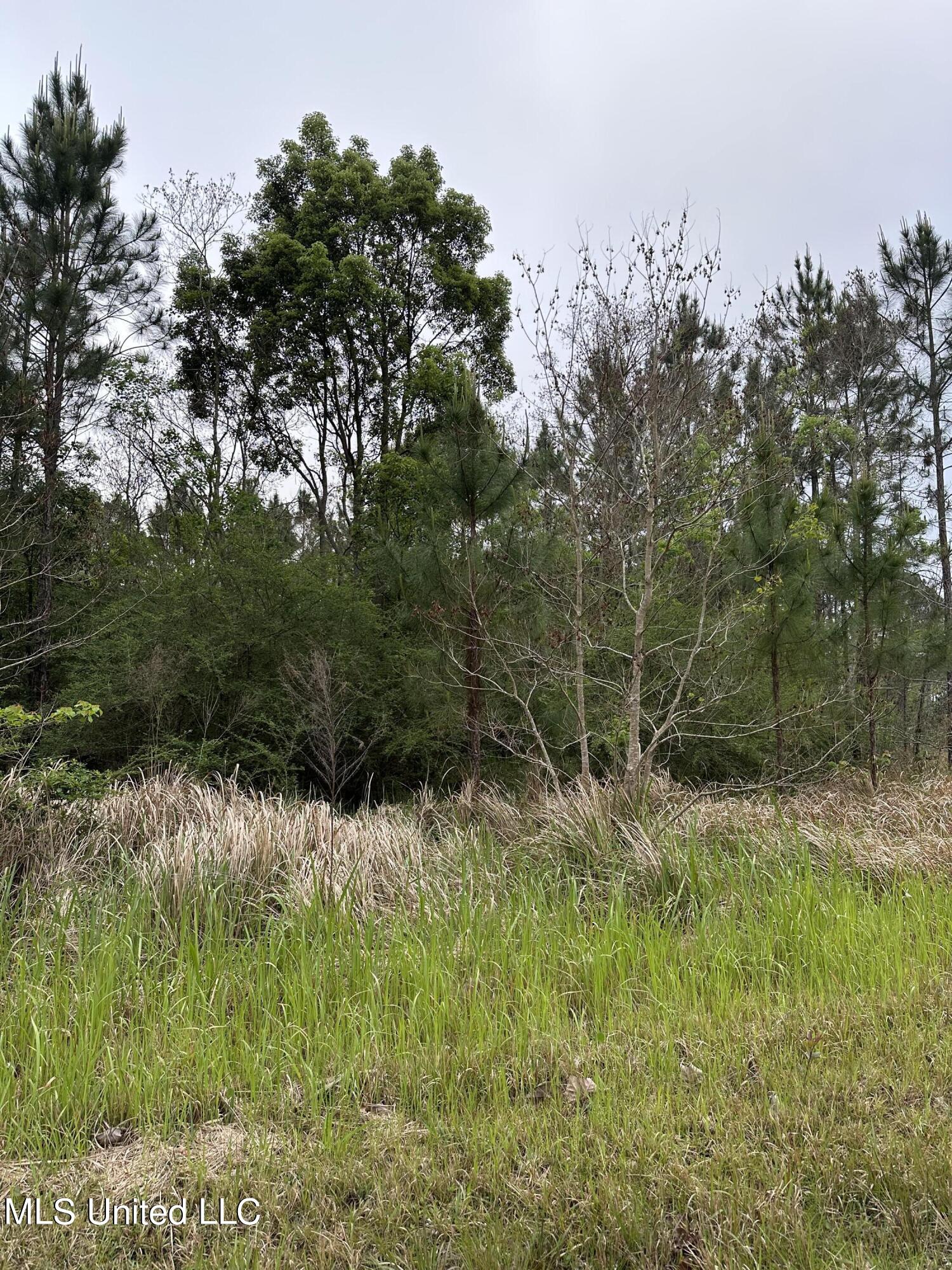 0 Carter Road Ocean Springs, MS 39564 - Photo 3 of 5 IMG_0876