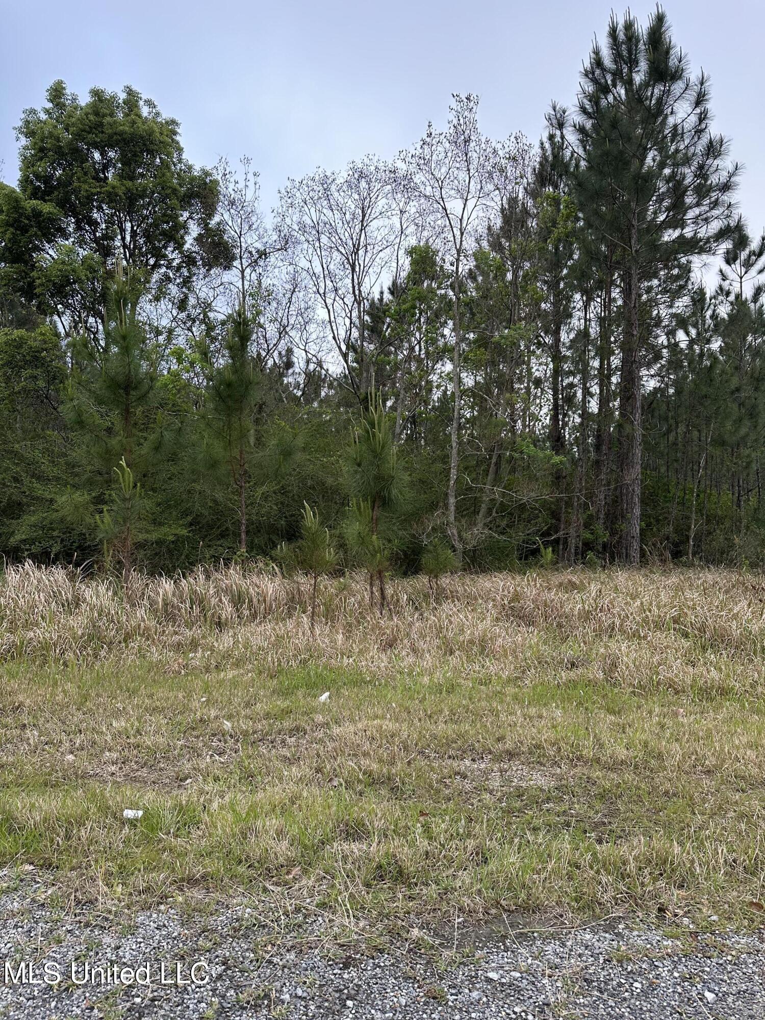 0 Carter Road Ocean Springs, MS 39564 - Photo 4 of 5 IMG_0877