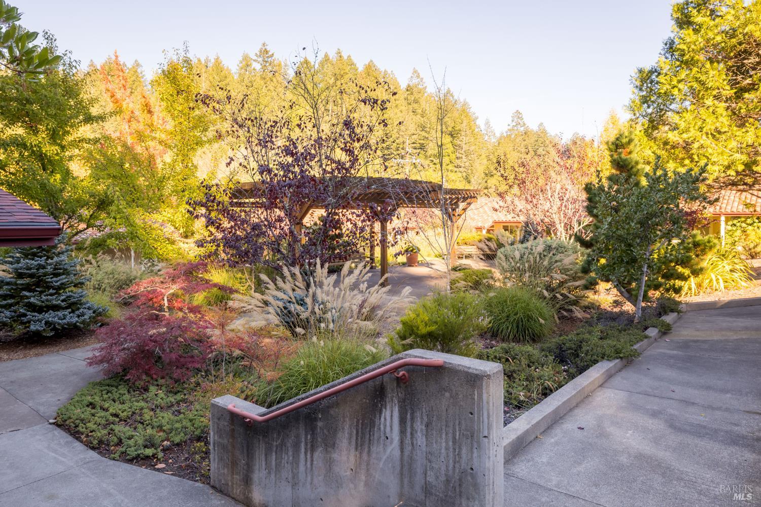 14632 Jomark Lane Occidental, CA 95465 - Photo 23 of 29 a view of a backyard with plants and trees