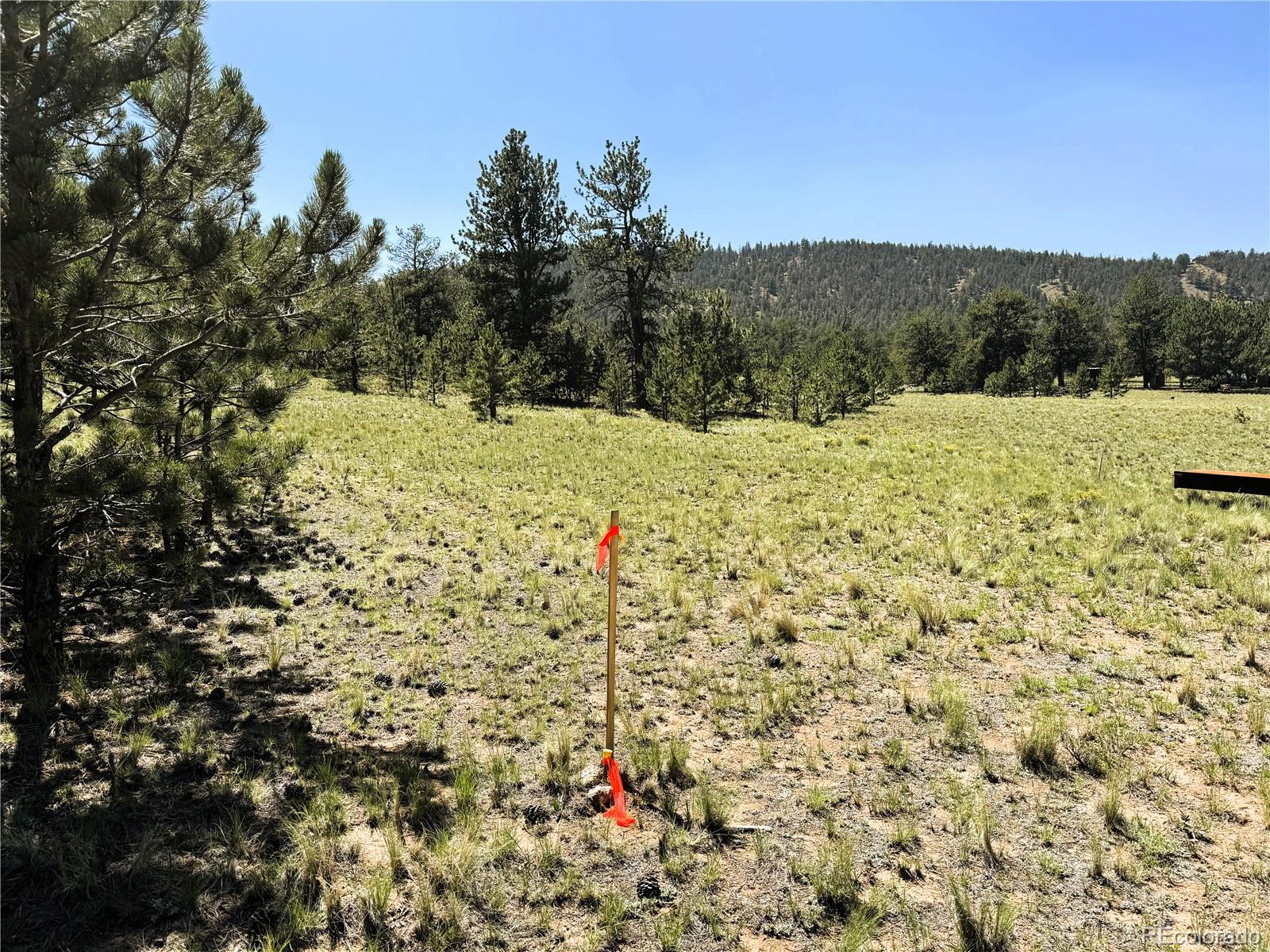 127 Boulder Road Hartsel, CO 80449 - Photo 4 of 34 Gallery Image 4
