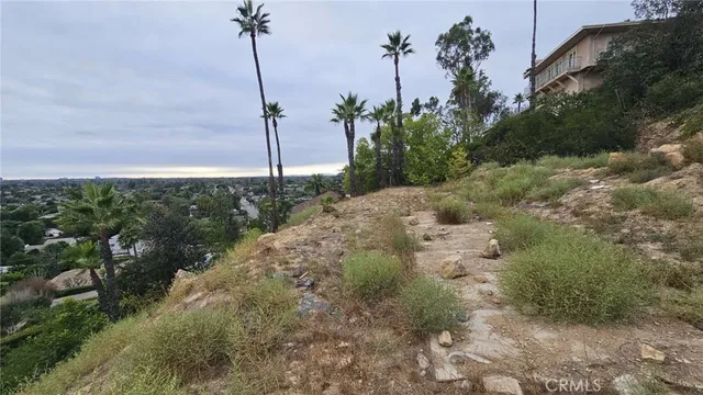 a view of a road with plants