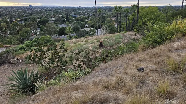 a view of a yard with a tree