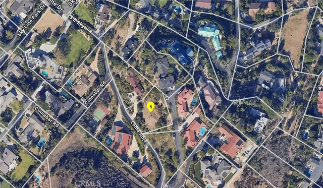 a view of a flower in a field