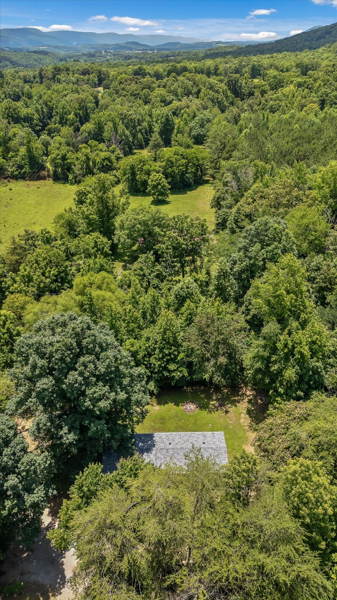 715 Lusk Loop Road Dunlap, TN 37327 - Photo 49 of 56 715 Lusk Loop Road