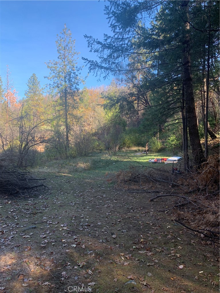0 Four 4 Trees Road Oroville, CA 95965 - Photo 2 of 10