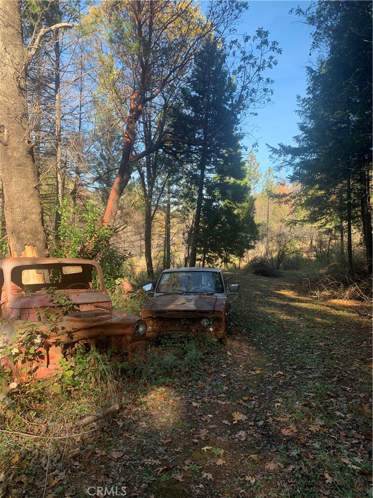 0 Four 4 Trees Road Oroville, CA 95965 - Photo 3 of 10