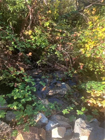 $206,000 | 0 Four 4 Trees Road, Oroville, CA 95965