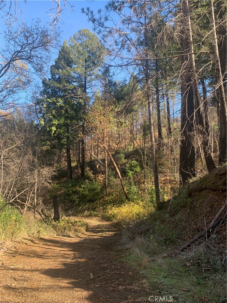 0 Four 4 Trees Road Oroville, CA 95965 - Photo 5 of 10