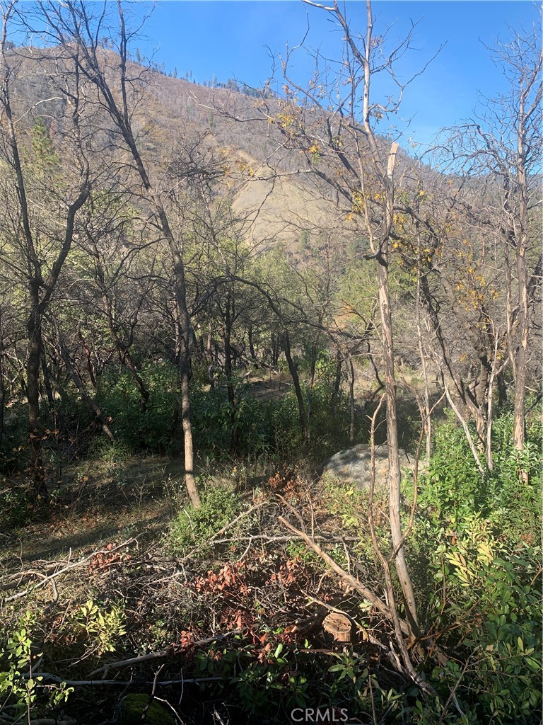 0 Four 4 Trees Road Oroville, CA 95965 - Photo 6 of 10