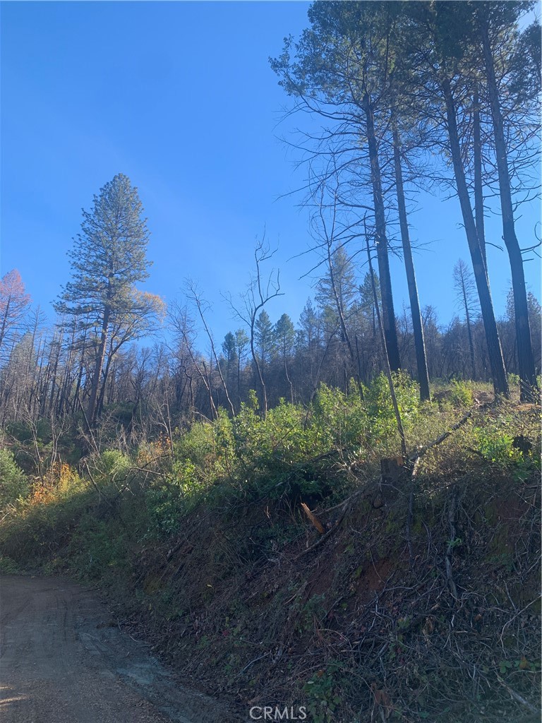 0 Four 4 Trees Road Oroville, CA 95965 - Photo 7 of 10