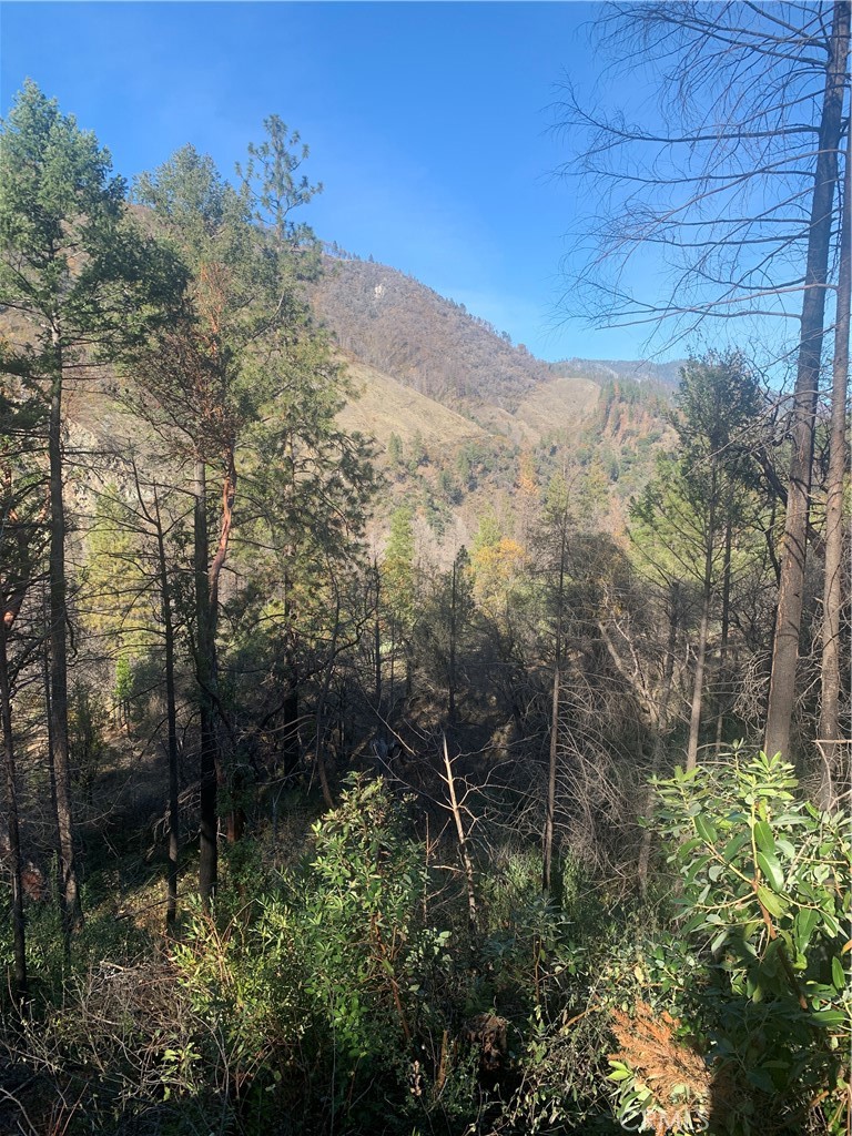 0 Four 4 Trees Road Oroville, CA 95965 - Photo 9 of 10