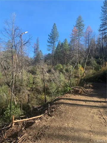 $206,000 | 0 Four 4 Trees Road, Oroville, CA 95965