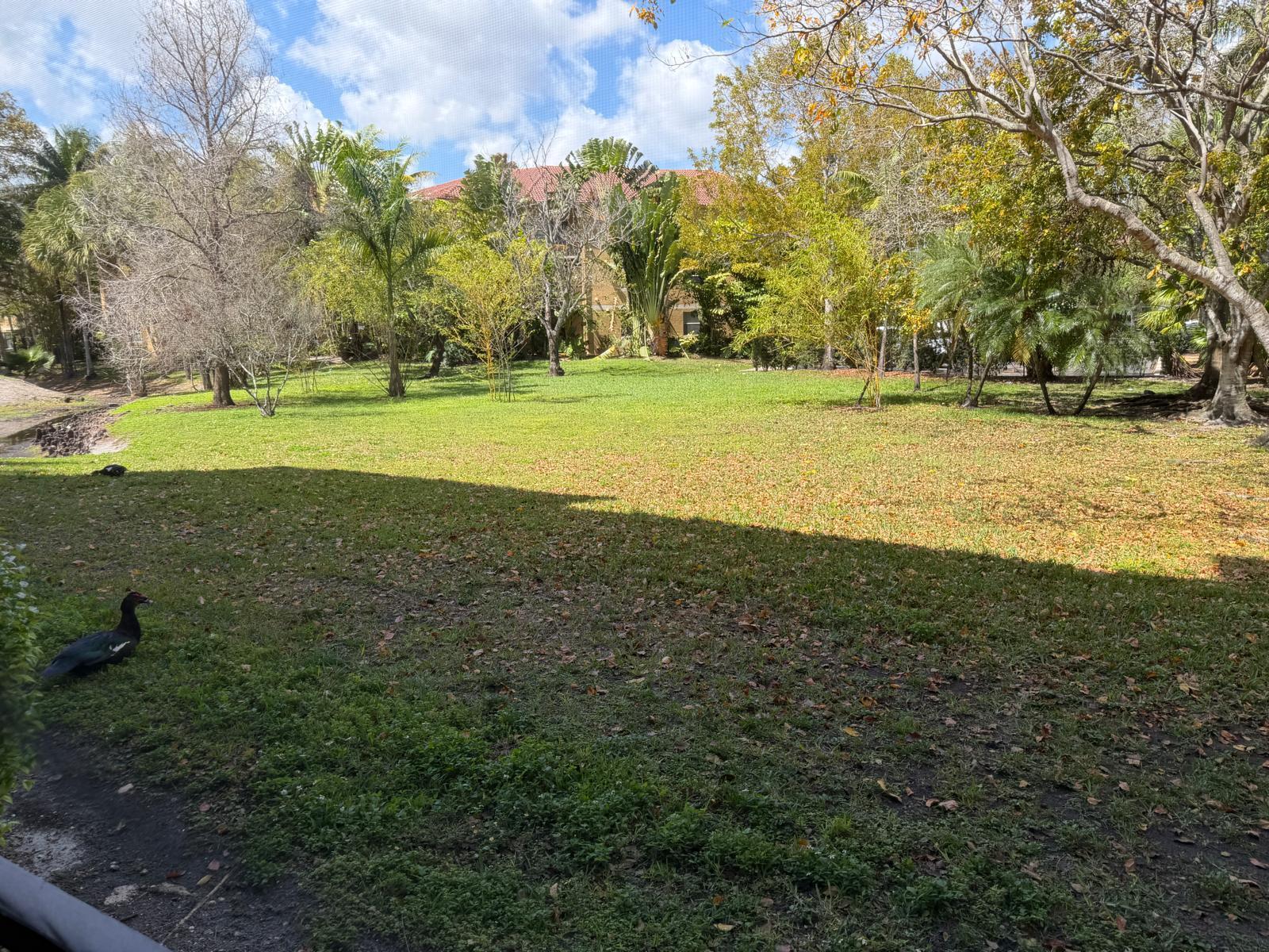 711 North Pine Island Road, Unit 104 Plantation, FL 33324 - Photo 9 of 9 a view of a field with trees