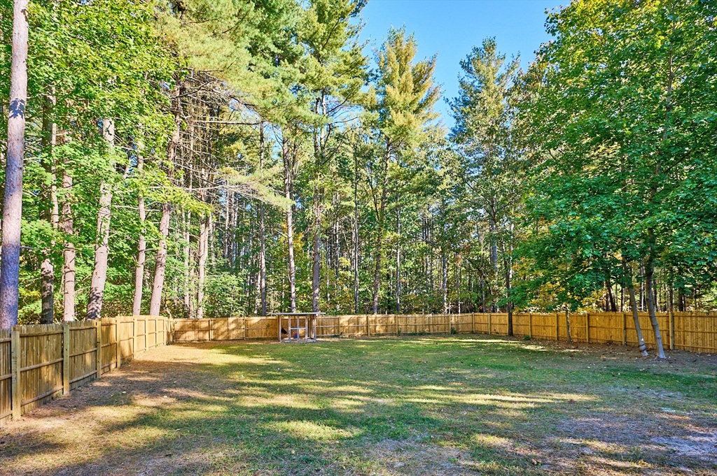795 A Westhampton Road Northampton, MA 01062 - Photo 24 of 25 a view of a park with large trees