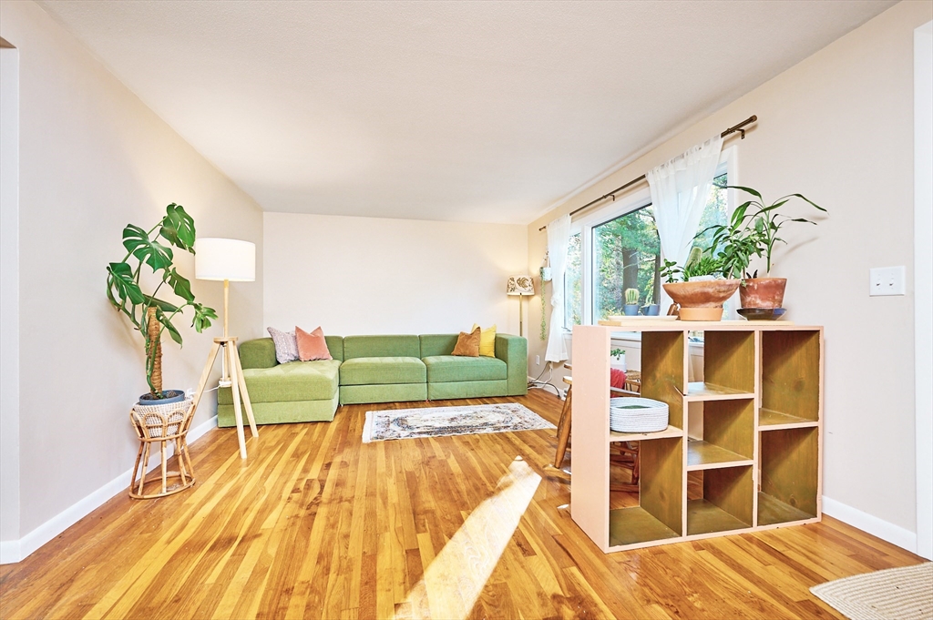 795 A Westhampton Road Northampton, MA 01062 - Photo 5 of 25 a living room with furniture and a potted plant