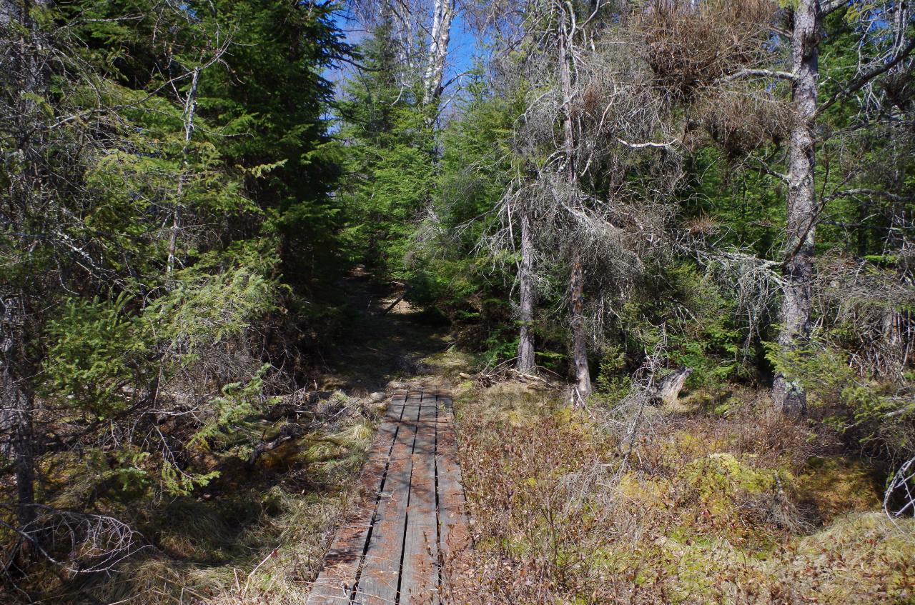 Lot 3 Double Ee Road Park Falls, WI 54552 - Photo 23 of 28 Gallery Image 23