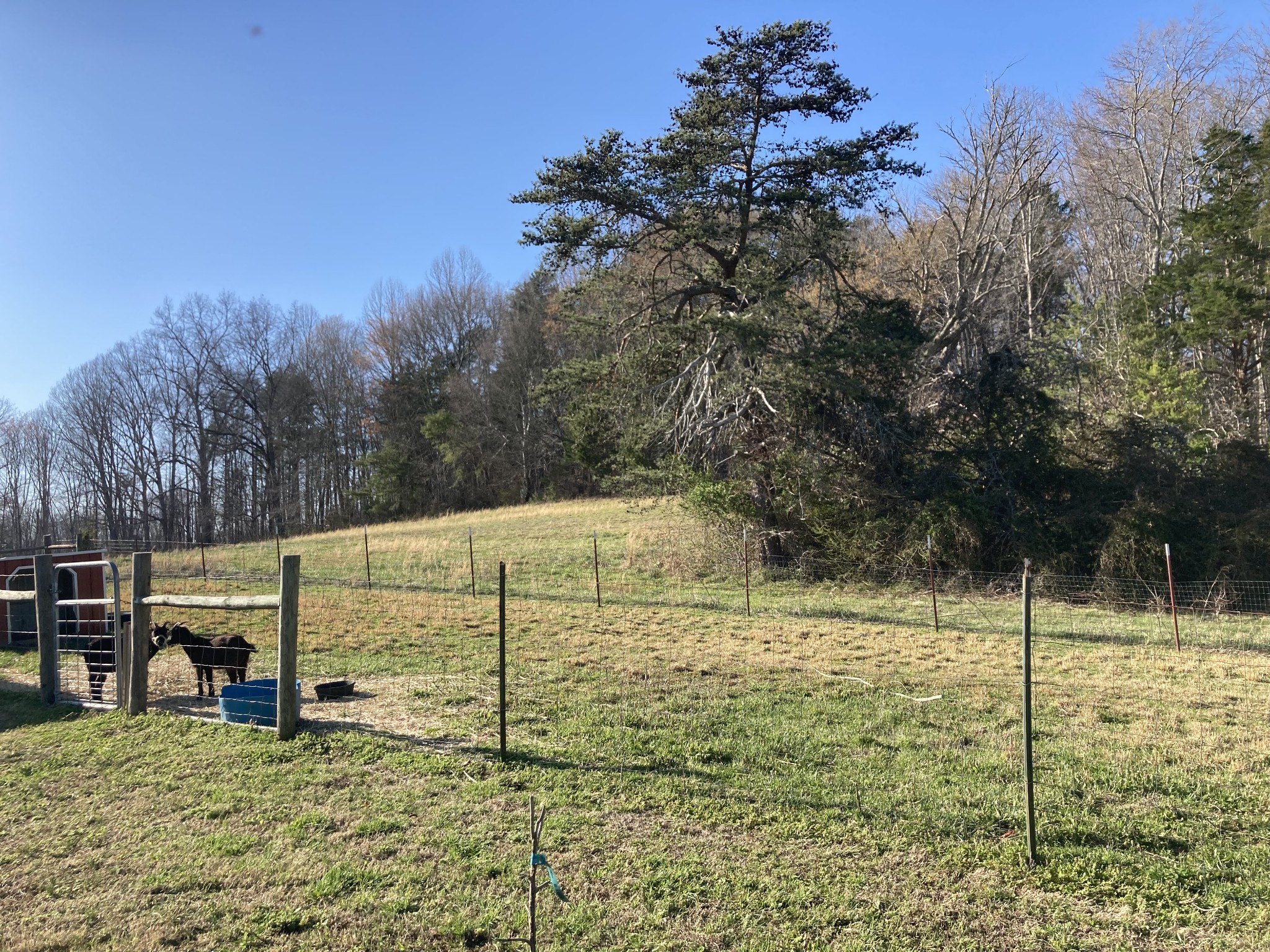 472 Allen Chapel Road Hilham, TN 38568 - Photo 14 of 28 a view of a outdoor space